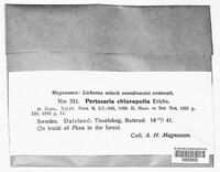 Image Associated With the Occurence